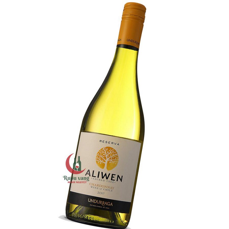 Vang Chile Undurraga Aliwen Reserva Chardonnay