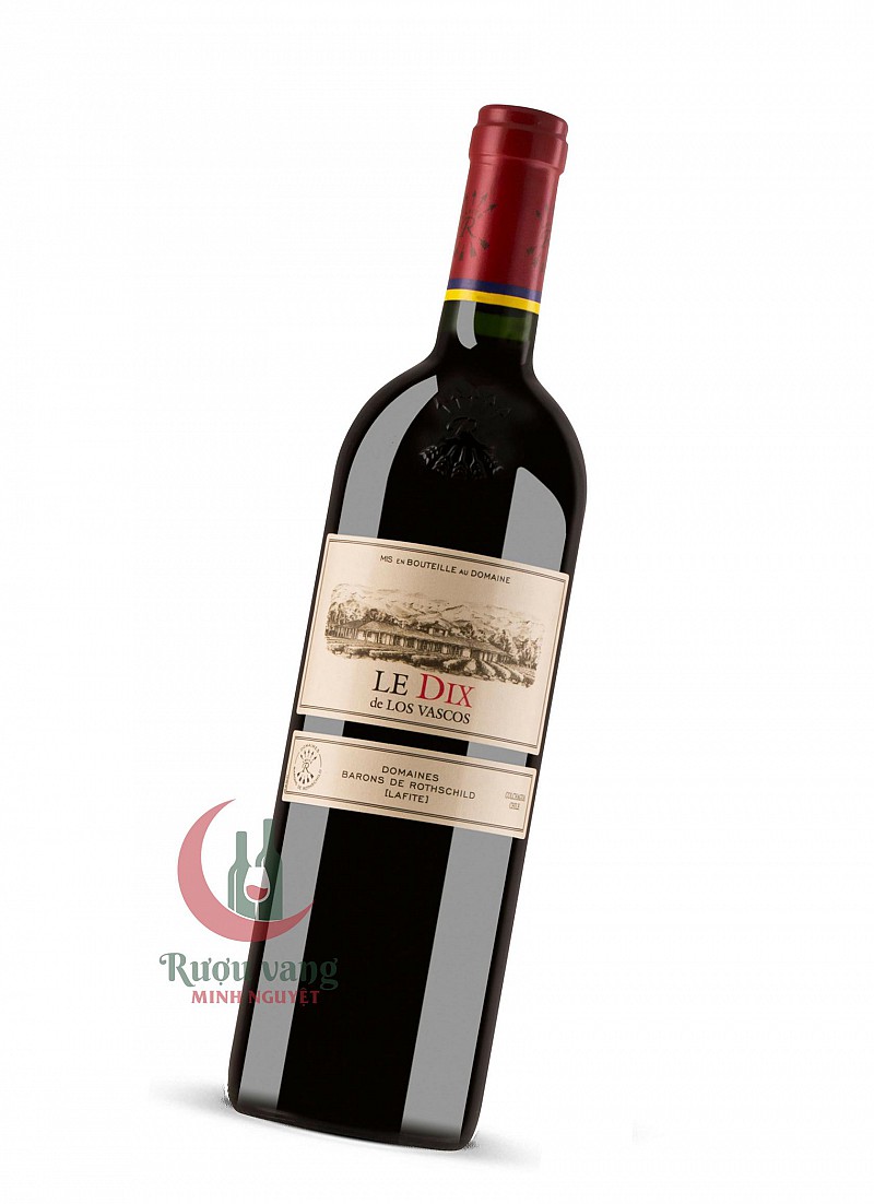 Rượu Vang Chile Domaines Barons de Rothschild (Lafite) Los Vascos Le Dix