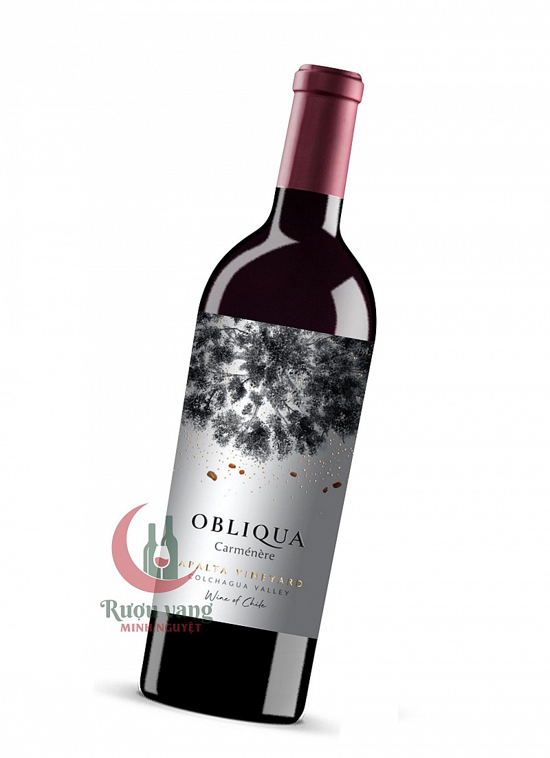 Rượu Vang Obliqua Carmenere